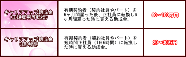 助成金対応例